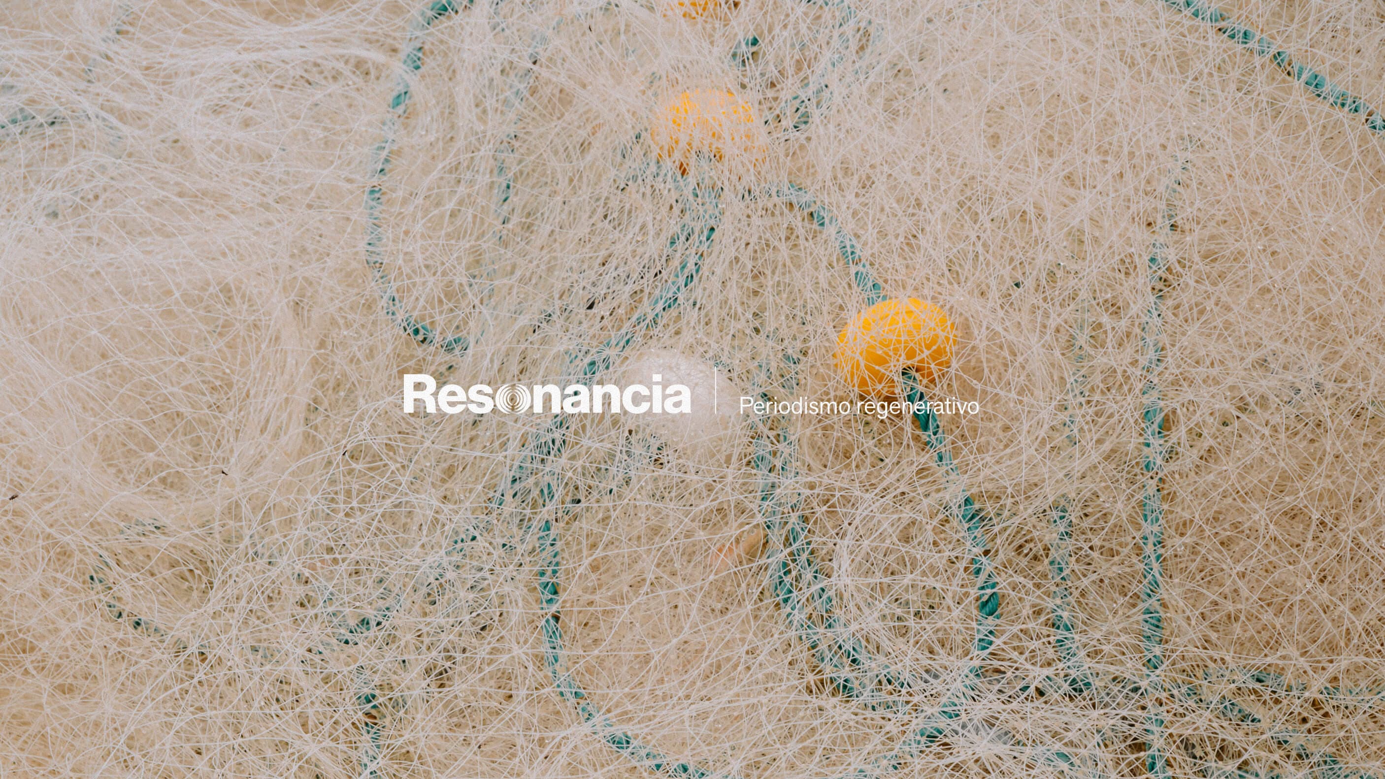 Imagen principal del proyecto Resonancia